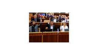 Poslanci sa hádali o Váhostave, pred parlamentom protestovali živnostníci